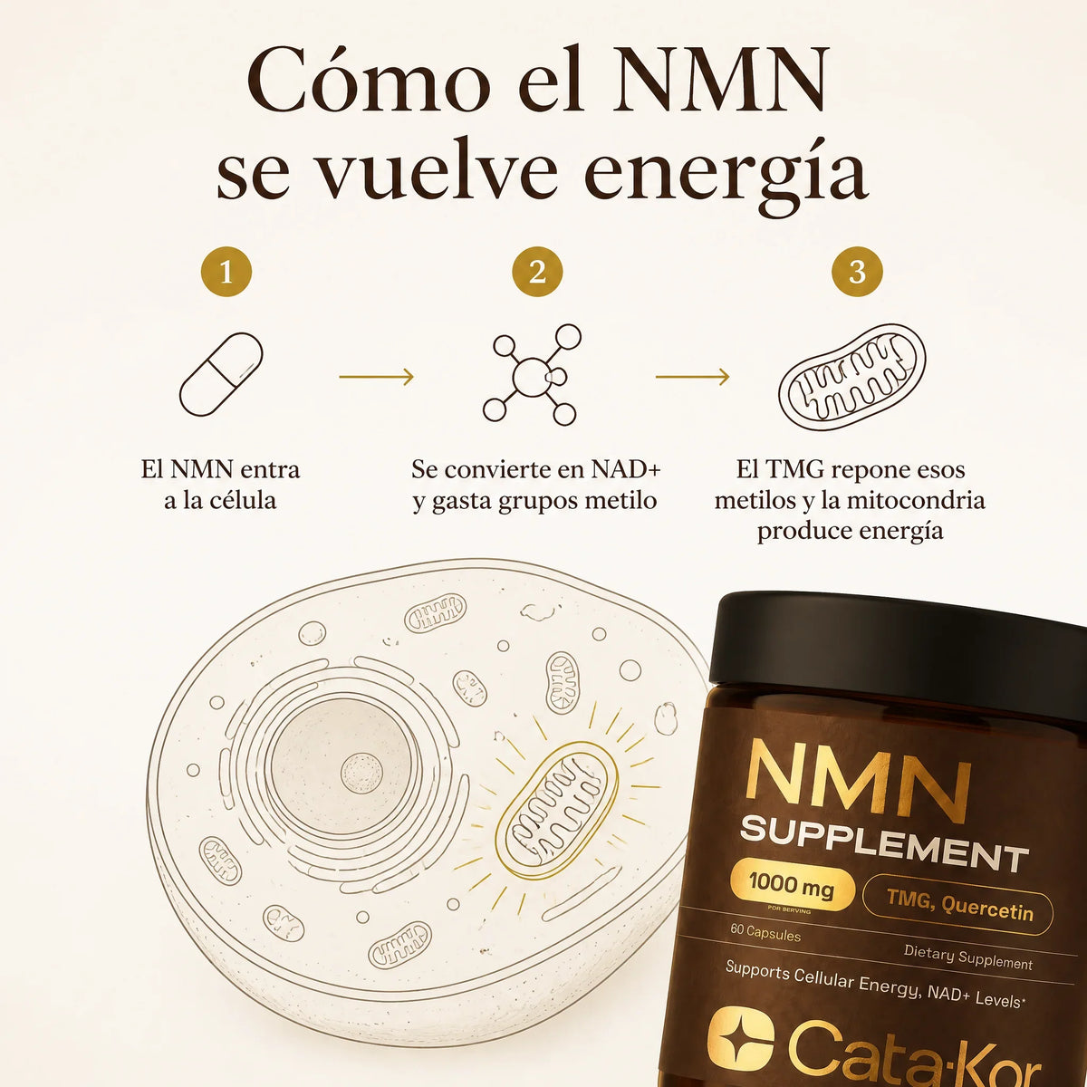 Cata-Kor™ NMN 1000 mg